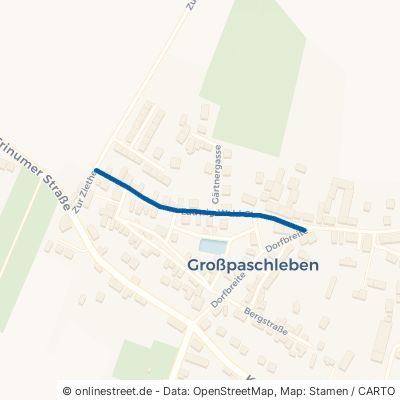 Ludwig-Wald-Straße Osternienburger Land Großpaschleben 