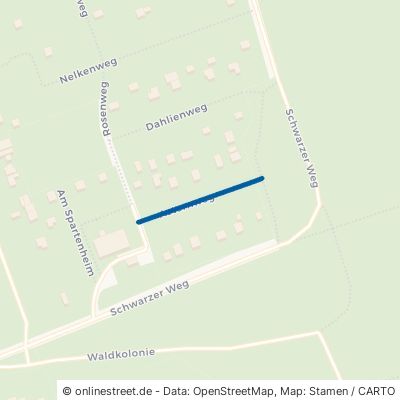 Asternweg Premnitz 