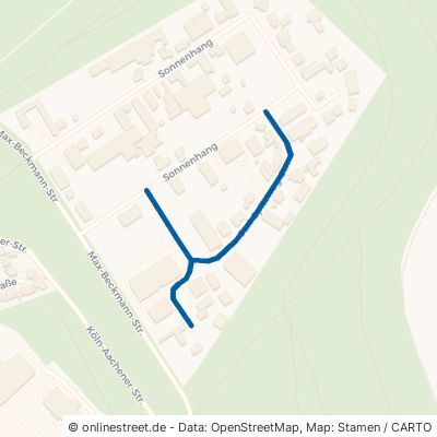 Carl-Spitzweg-Straße Bergheim Quadrath-Ichendorf 