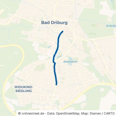 Dringenberger Straße 33014 Bad Driburg 