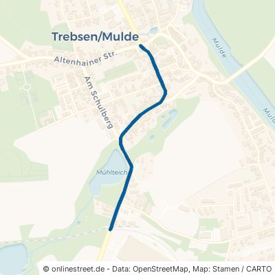 Grimmaische Straße Trebsen (Mulde) Trebsen 