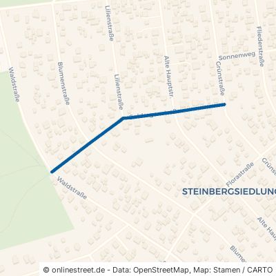Goldregenstraße Königs Wusterhausen Zeesen 