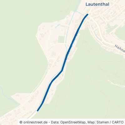 Wildemanner Straße Langelsheim Lautenthal 
