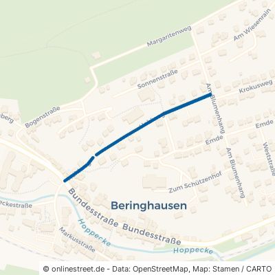 Hohlweg Marsberg Beringhausen 
