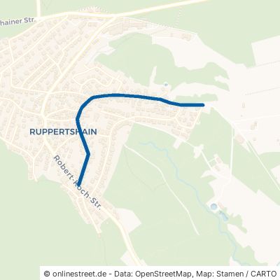 Wiesenstraße 65779 Kelkheim Ruppertshain 