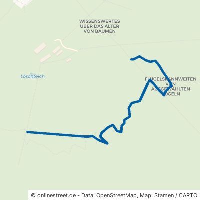 Walderlebnispfad Dessau-Roßlau Tornau 