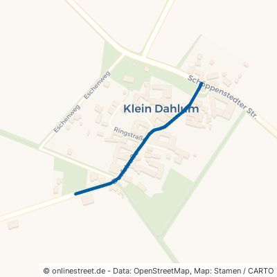 Dorfstraße Dahlum Klein Vahlberg 
