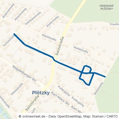 Albert-Schweitzer-Straße Schönebeck Plötzky 