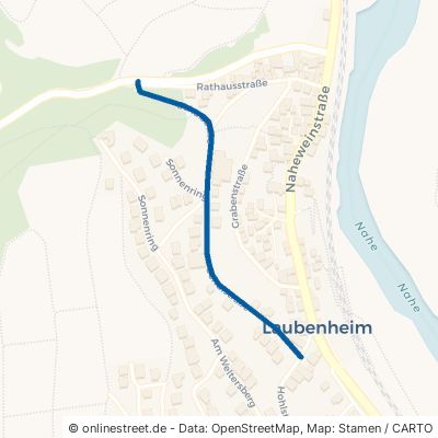 Schulstraße Laubenheim 