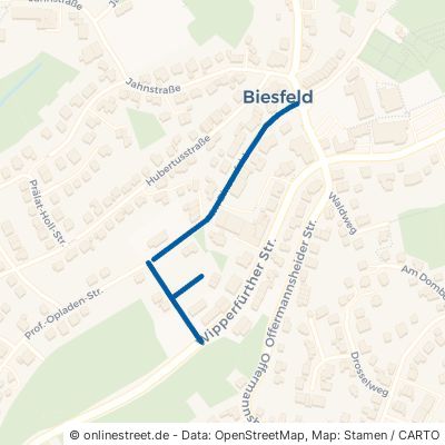 Im Binsenfeld 51515 Kürten Biesfeld Biesfeld
