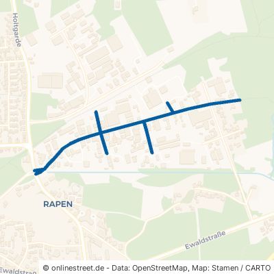 Karlstraße Oer-Erkenschwick Rapen 