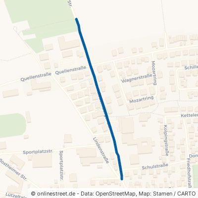 Niedernberger Straße 63868 Großwallstadt 