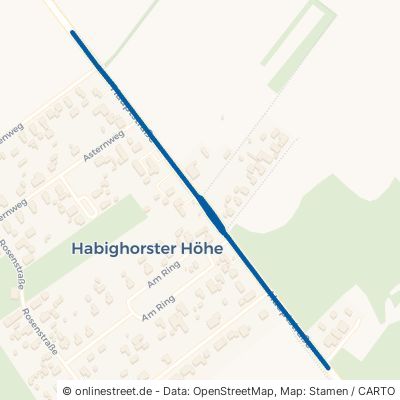 Hauptstraße Eschede Habighorster-Höhe 