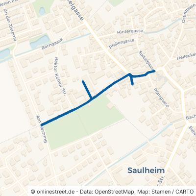 Neupforte Saulheim Nieder-Saulheim 