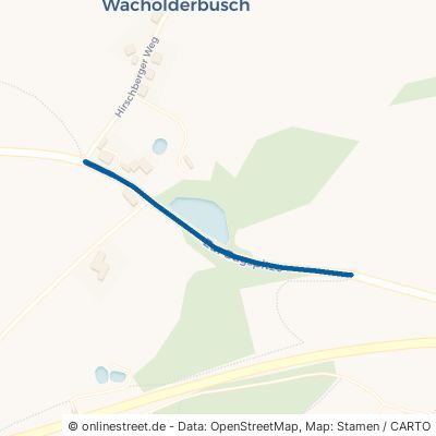Zur Bugspitze 95152 Selbitz Wachholderbusch 