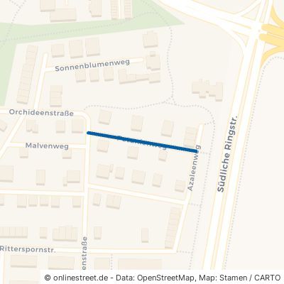 Petunienweg 65451 Kelsterbach 