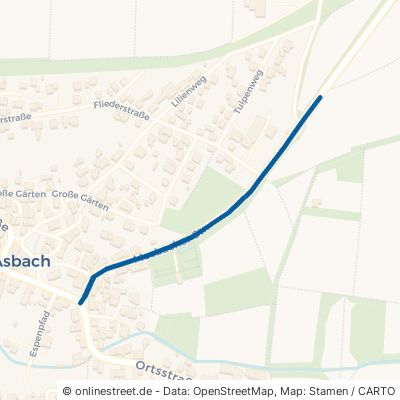 Mosbacher Straße Obrigheim Asbach 