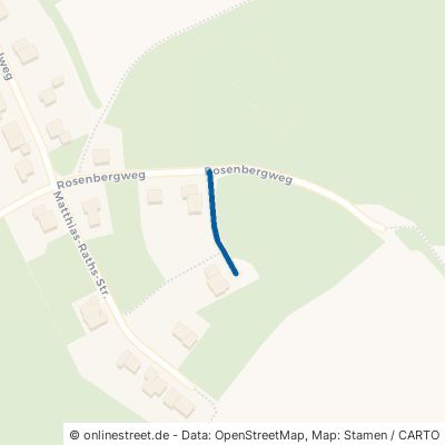 Wilhelm-Schulte-Straße 54655 Kyllburg 