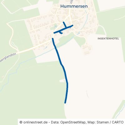 Vogelsang Lügde Hummersen 