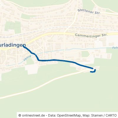 Hermannsdorfer Straße Burladingen 