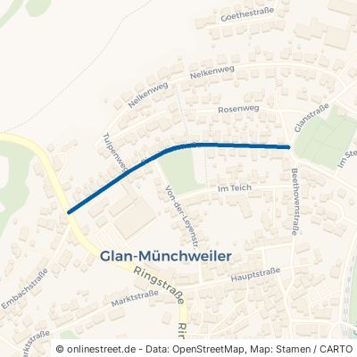 Pirminiusstraße Glan-Münchweiler 