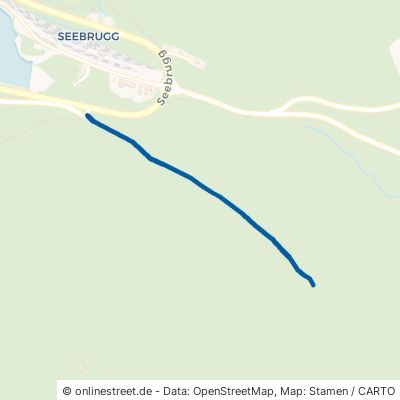 Tirolerweg Schluchsee Seebrugg 