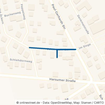 Edith-Stein-Straße 31177 Harsum Borsum 
