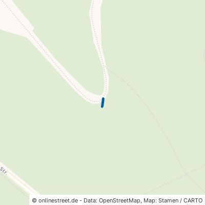 Anschubstrecke-Sommerrodelbahn Oberhof 