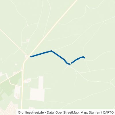 Nassesand Schlangen Oesterholz-Haustenbeck 