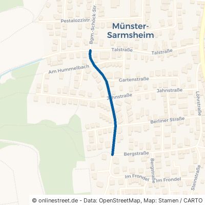Freiherr-Vom-Stein-Straße 55424 Münster-Sarmsheim 