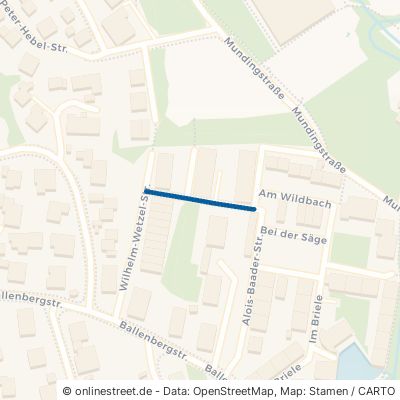 Emil-Dannecker-Straße 78234 Engen 