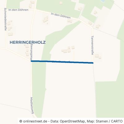 Gemüsestraße 32130 Enger Herringhausen Oetinghauser Heide