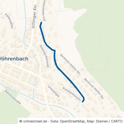 Burgweg Vöhrenbach Stadtgebiet 