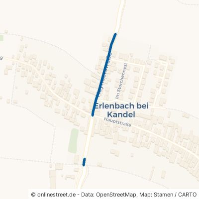 Haynaer Straße Erlenbach bei Kandel 
