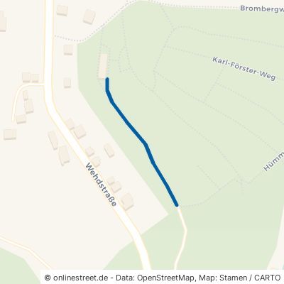 Hermann-Renner-Weg 96515 Sonneberg 
