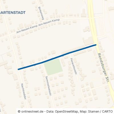 Ahornweg Neumünster Gartenstadt 