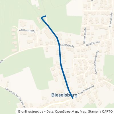 Turnstraße Schömberg Bieselsberg 
