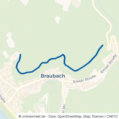 Unterer Mühlbergweg 56338 Braubach 