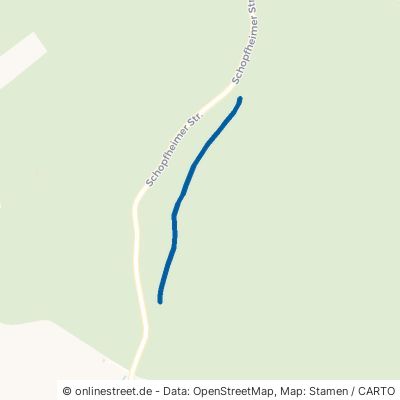Egerhaldenweg Rheinfelden Minseln 
