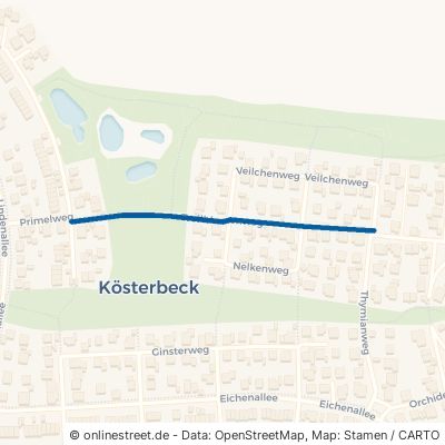 Trollblumenweg Roggentin Kösterbeck 