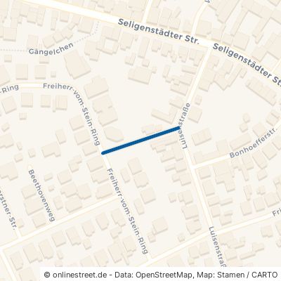 Hermann-Ehlers-Straße 63500 Seligenstadt Froschhausen 