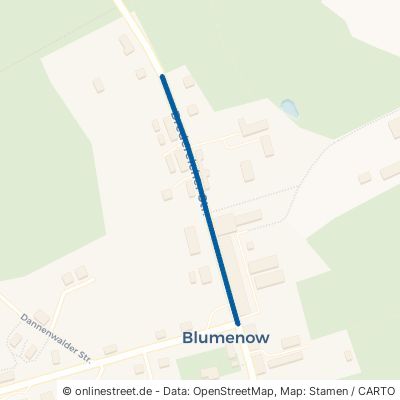 Bredereicher Straße Fürstenberg (Havel) Blumenow 