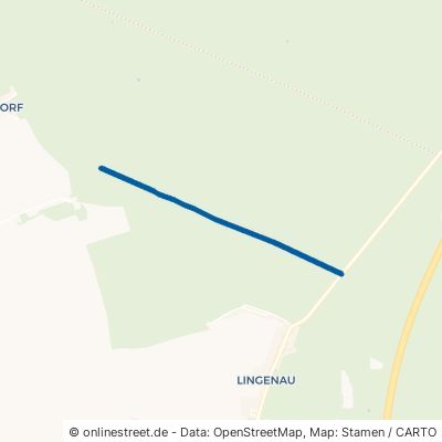 Schierstädter Wildfuhre Südliches Anhalt Quellendorf 