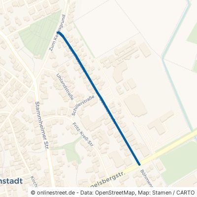 Goethestraße 63674 Altenstadt 