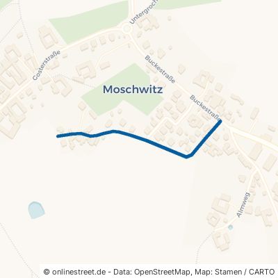 Häuslerweg 07973 Greiz Moschwitz