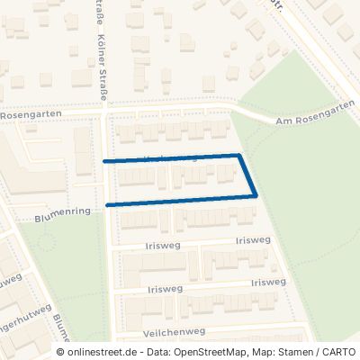 Krokusweg 15566 Schöneiche bei Berlin Bezirk Treptow-Köpenick