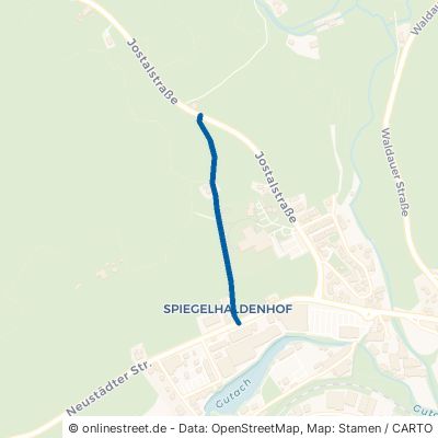 Spiegelhaldenweg Titisee-Neustadt Neustadt 