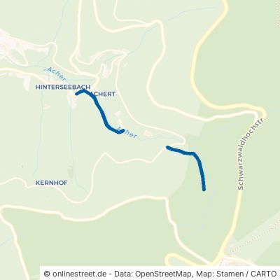 Alte Ruhesteinstraße 77889 Seebach Hinterseebach 