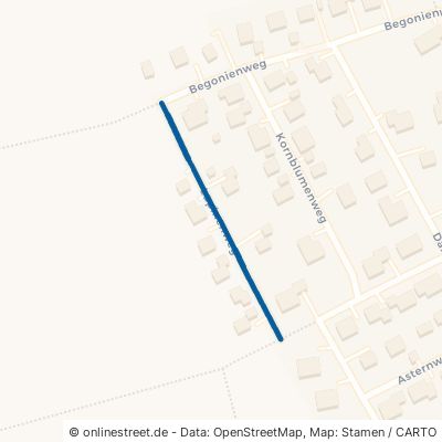 Lupinenweg 89297 Roggenburg Schießen 