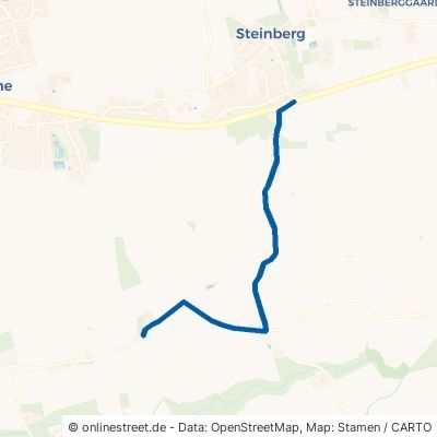 Südsteinberg 24972 Steinberg 